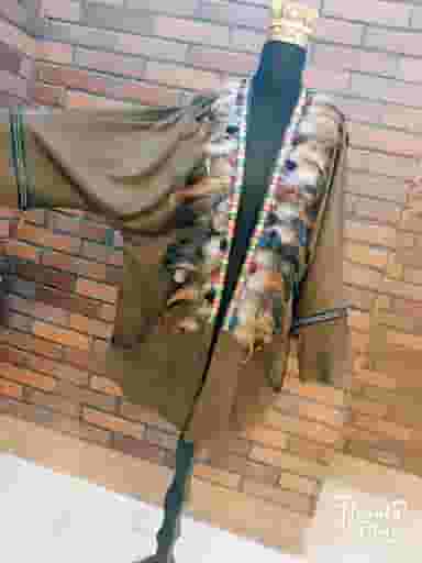 خانه خیاطی نازآفرین در گلستان اهواز