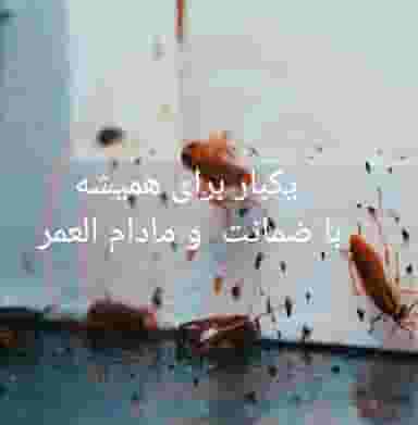 سم سوسک کابینت ، تضمینی و مرجوعی پرداختی کوی ملی راه اهواز