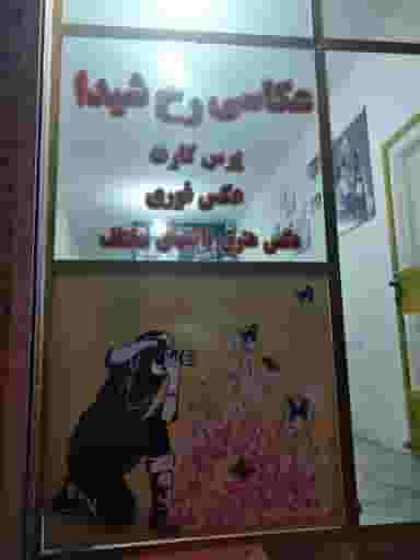 عکاسی رخ شیدا در بهارستان اهواز
