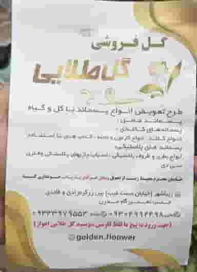 گل طلایی در زیباشهر اهواز