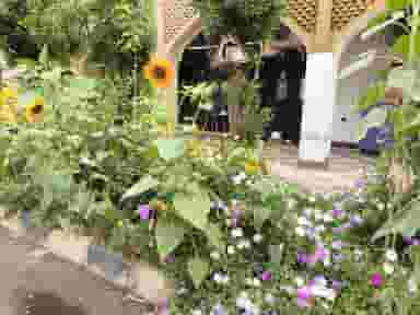 کافه بید شهرک نفت اهواز