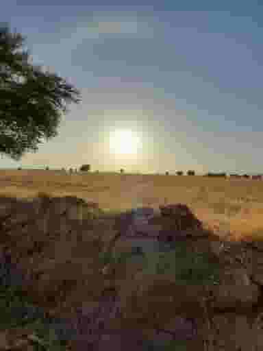 کافه-باغ-دهکده شهرک صنعتی اهواز