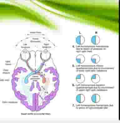 عینک سازی درمانگاه حکیم در امانیه اهواز