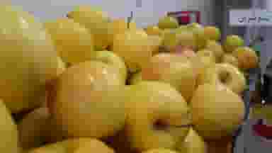 سوپر میوه و تره بار سپنتا کوی باهنر اهواز