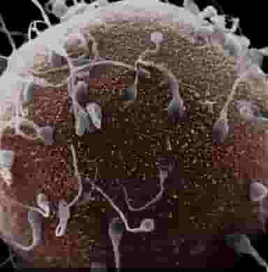 آنلاین طب باروا در کیانپارس اهواز