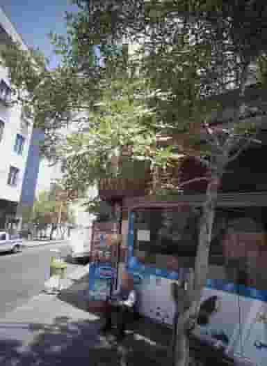 سوپر محسن در مسعودیه 