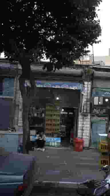 شهریاری در گمرک 
