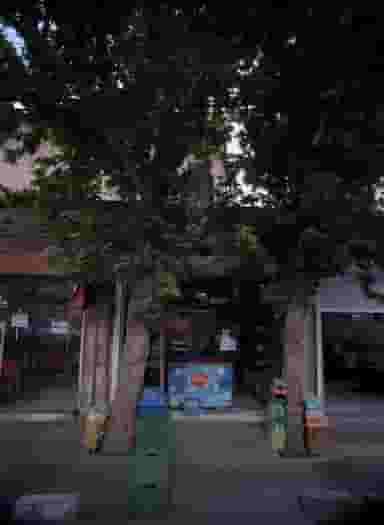 فروشگاه مواد غذایی در دولتخواه شمالی 