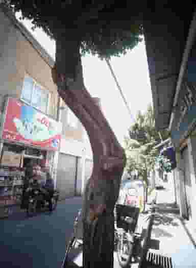 سوپر مارکت در آبشار 