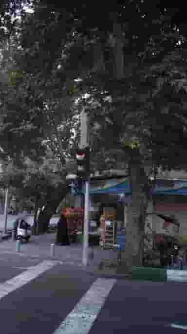 عرضه مستقیم محصولات پگاه (شعبه پل ایمر بهادر) در قلمستان تهران