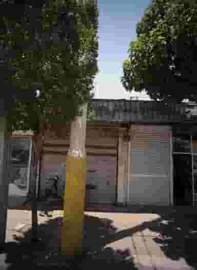 فروشگاه مواد غذایی و بهداشتی در شوش تهران