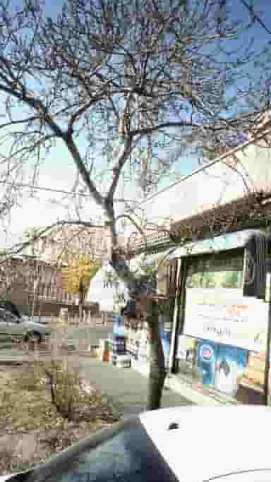 سوپرمارکت تک در جنت آباد جنوبی تهران