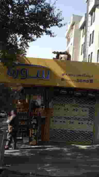 سورنا در تهرانپارس غربی 