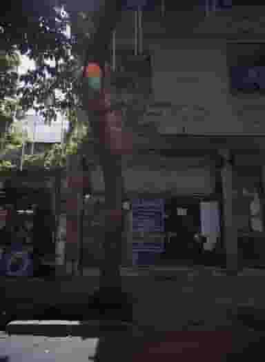 فروشگاه توکلی فرد در مینابی 