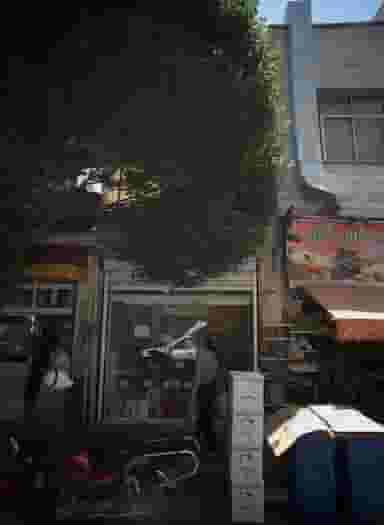 فروشگاه مواد غذایی در ایران تهران