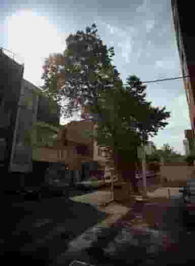 سوپرمارکت ایلیا در ارامنه تهران