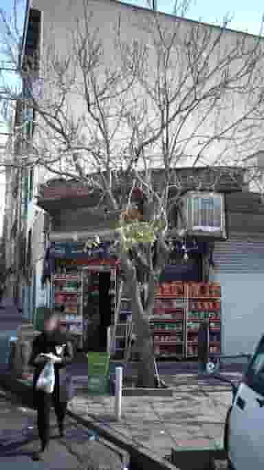 سوپرمارکت در شهران جنوبی 