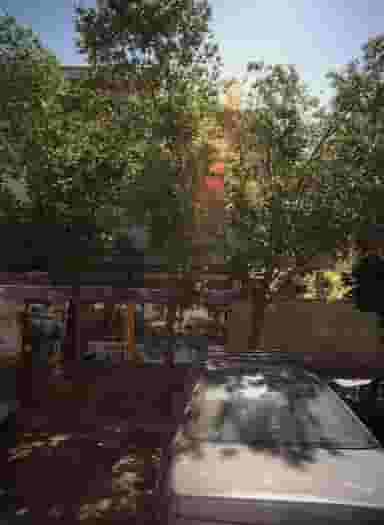 فروشگاه سید در سرآسیاب مهرآباد 