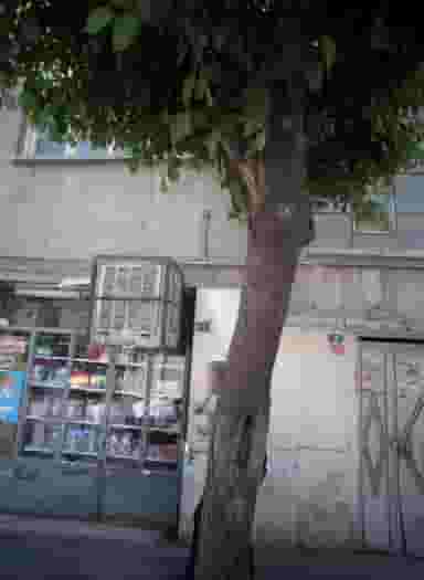 سوپر مارکت گل نرگس در سلیمانی 