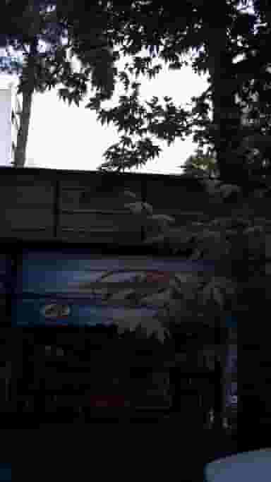 سوپرمارکت در نجات اللهی 