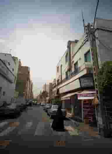 گل آذربایجان در مجیدیه 