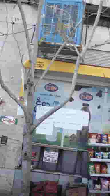 فروشگاه سعید در شهران جنوبی تهران