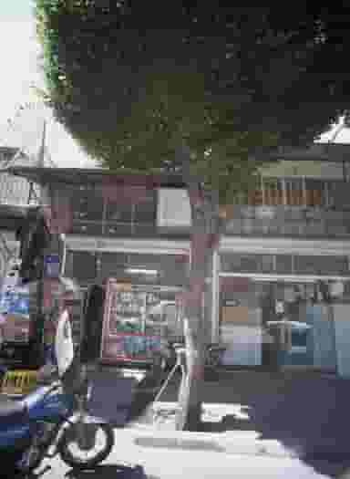 سوپرمارکت در آبشار 