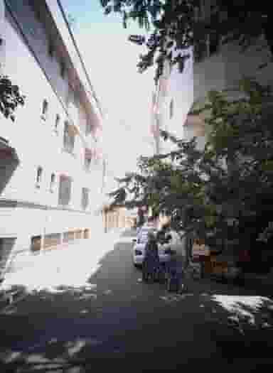 سوپر مارکت حجت در بهداشت