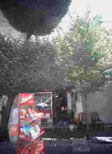 سوپر مارکت در دانشگاه تهران 