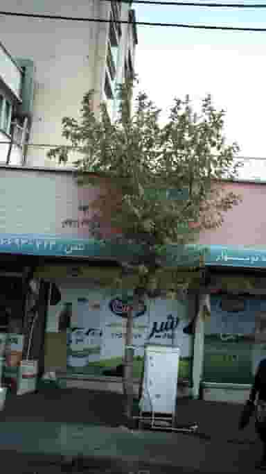 فروشگاه نوبهار در توحید تهران