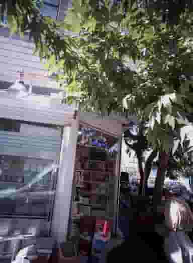 فروشگاه مواد غذایی در ارامنه 