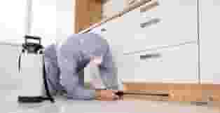  سم پاشان پاک سازان توسعه سمپاشی  اماکن عمومی خانگی و صنعتی 