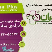 کلینیک دامپزشکی تهران پلاس در آرارات