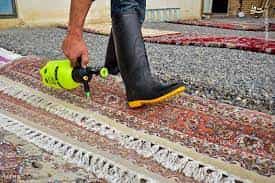 عکس قالیشویی تهران خوشنام در نیلوفر