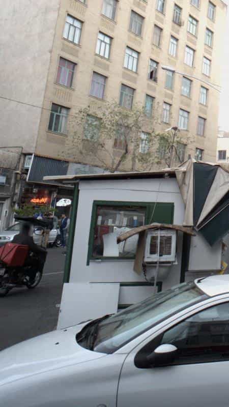 عکس گیاهان دارویی در مجیدیه