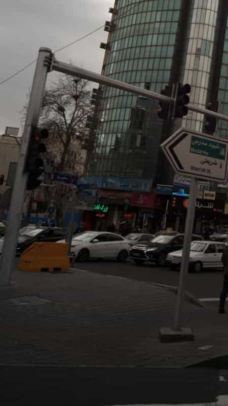 عکس گیاهان دارویی ابو علی سینا (سید) در یوسف آباد