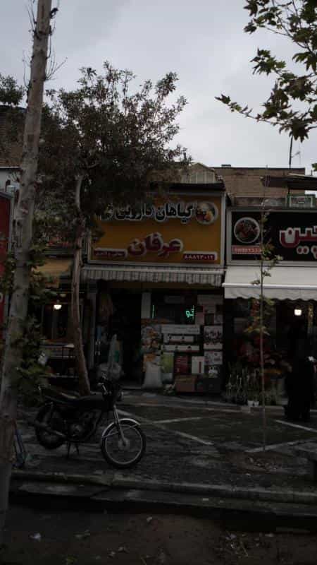 عکس گیاهان دارویی عرفان در بهجت آباد