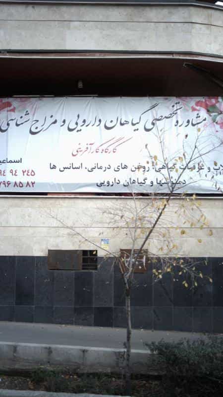 عکس مشاور تخصصی گیاهان دارویی ومزاج شناسی در جنت آباد جنوبی