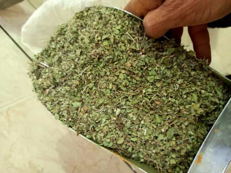 عکس عطاری سپهر در خاوران