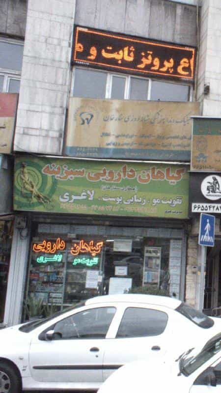 عکس گیاهان دارویی سبزینه در توحید