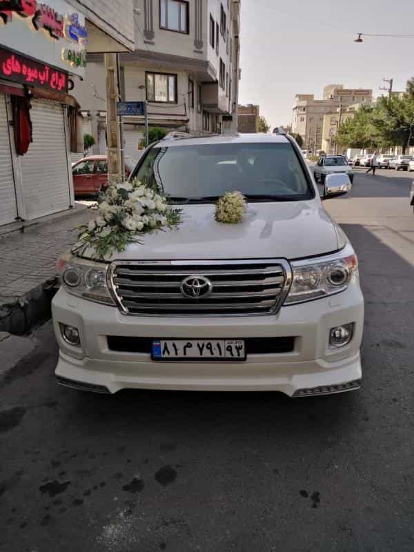 عکس گل نرگس در بهداشت