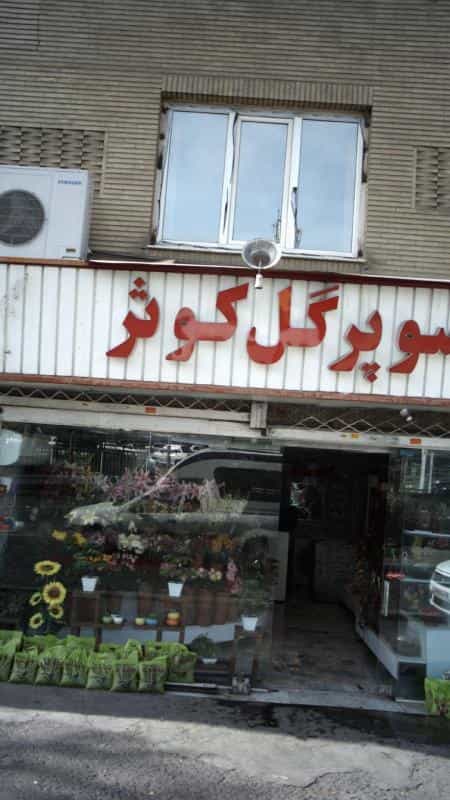 عکس سوپرگل کوثر در ابوذر
