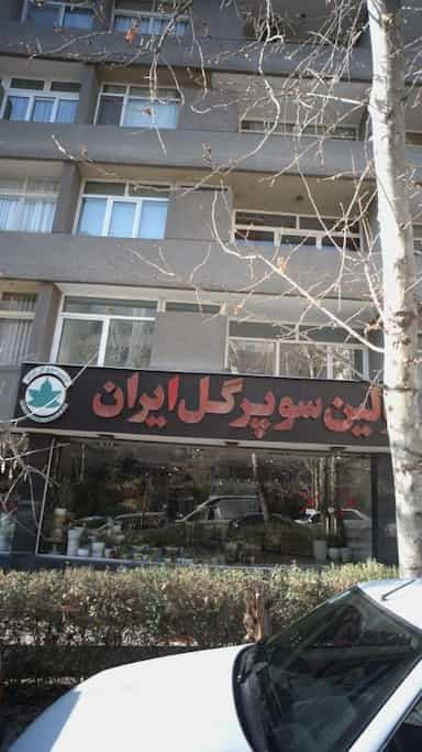 اولین سوپر گل ایران در ونک