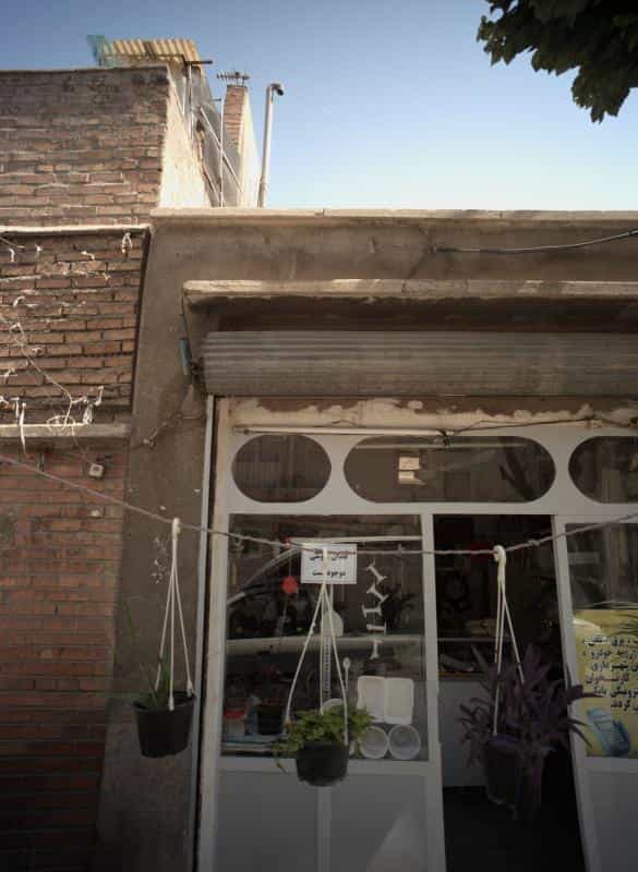 عکس گل فروشی در باغ آذری