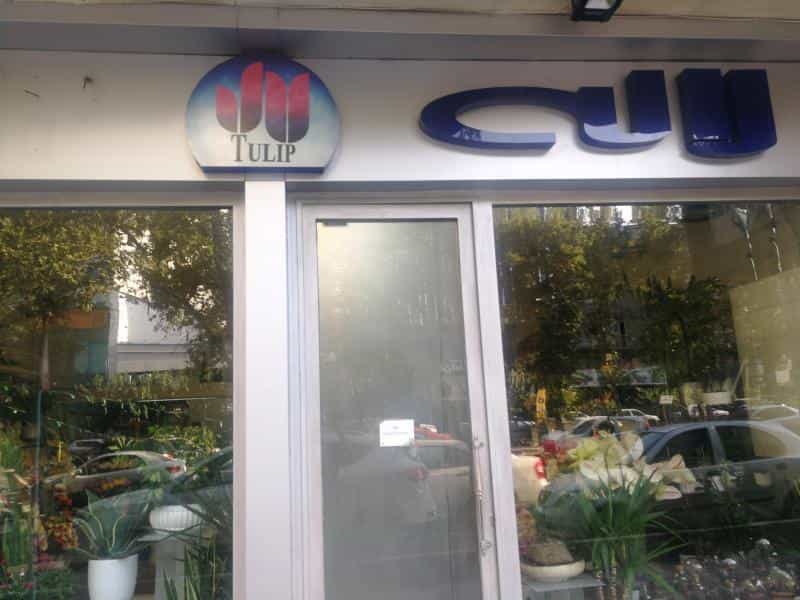 عکس گل فروشی لاله در داوودیه