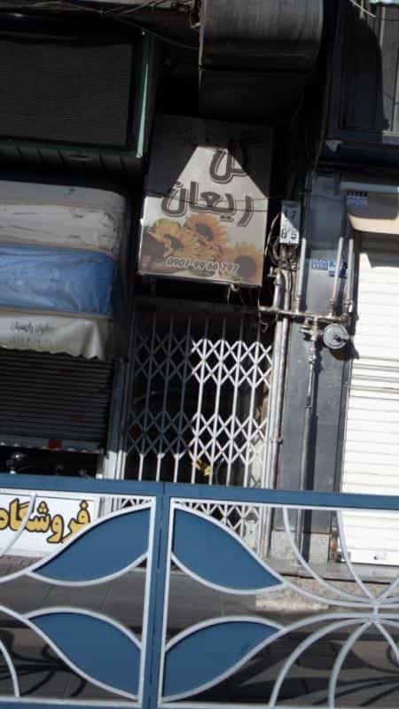 عکس گل ریعان در اندیشه