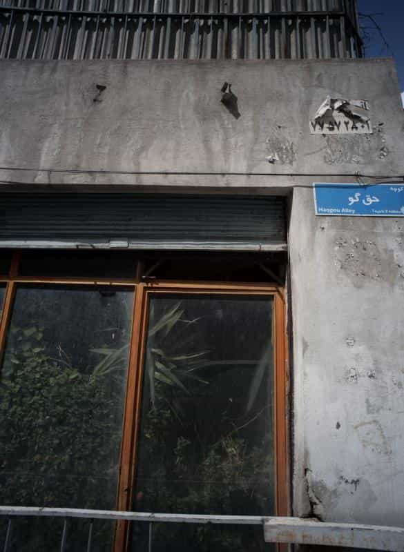 عکس فروشگاه گل و درختچه در شاهد