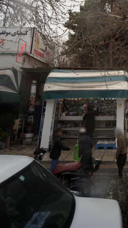 عکس گل در ظفر