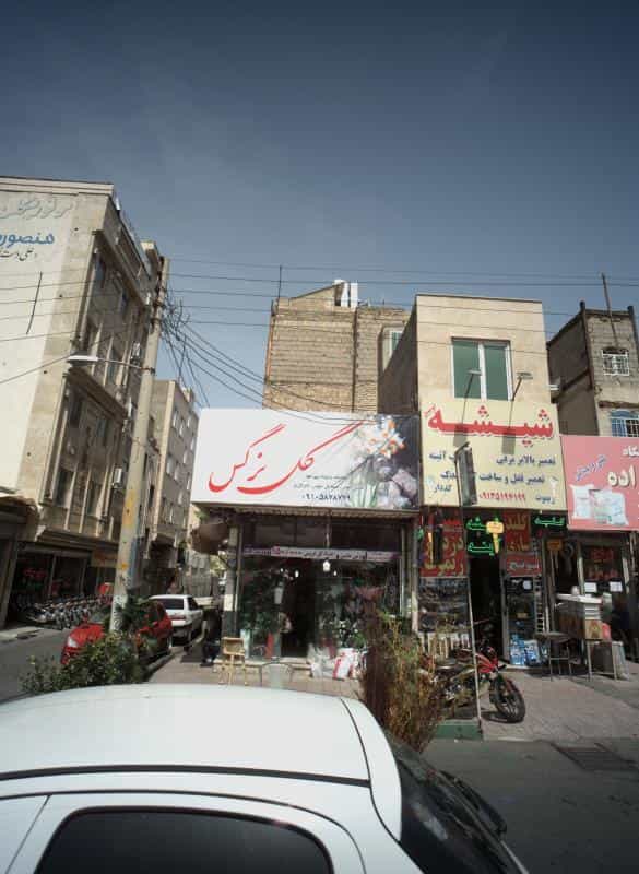 عکس گل نرگس در جوادیه تهرانپارس