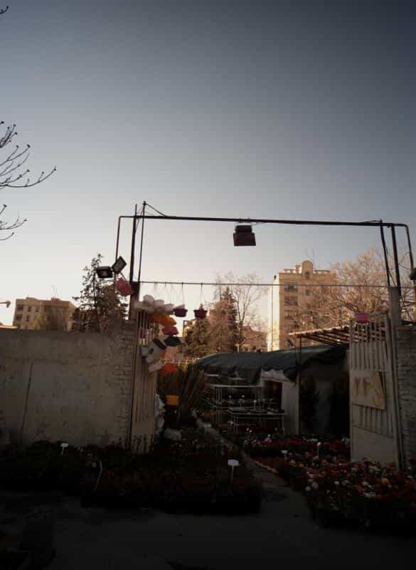 عکس گل فروشی در حسین آباد